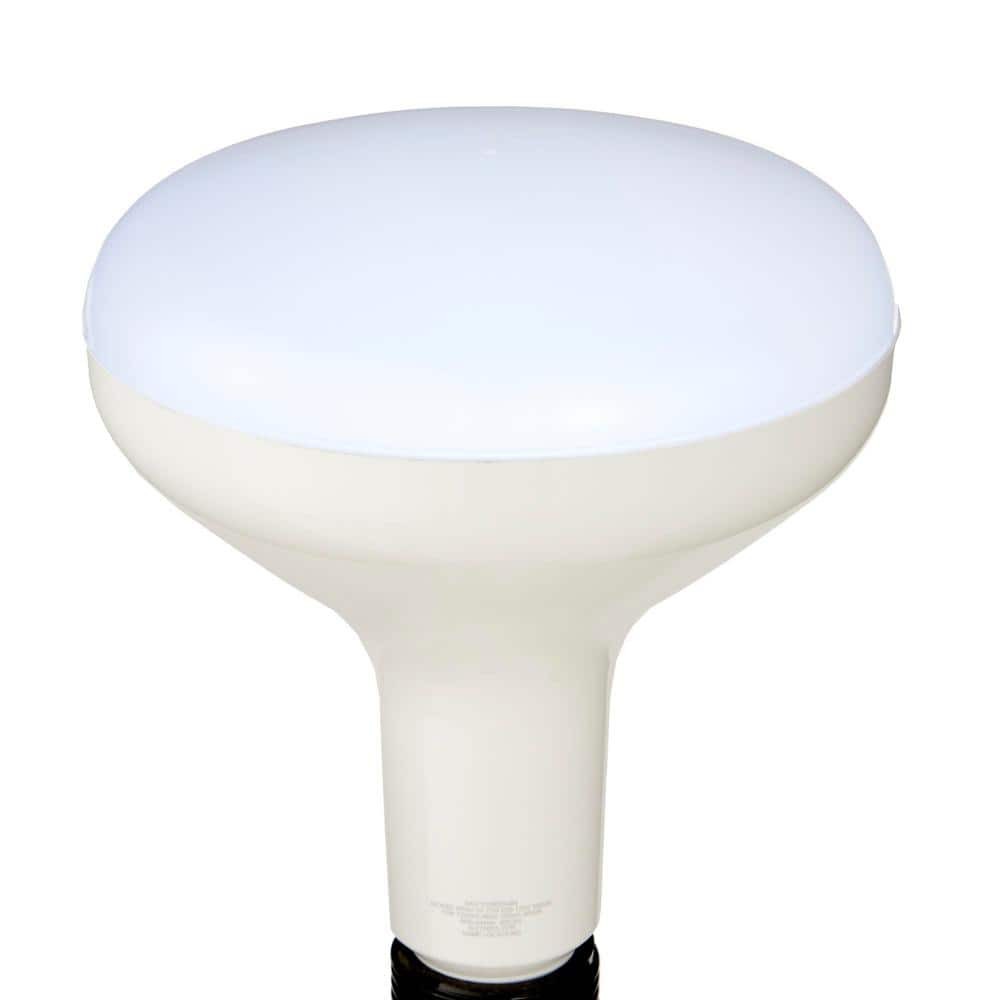 75-Watt Equivalent BR40 Dimmable LED Light Bulb Daylight 12-Pack