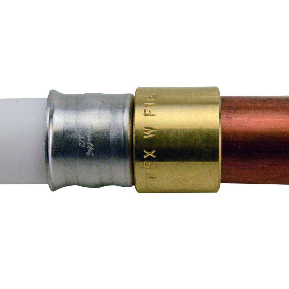 Apollo 1/2 in. Brass PEX-B Barb x 1/2 in. Female Copper Sweat Adapter 10-Pack