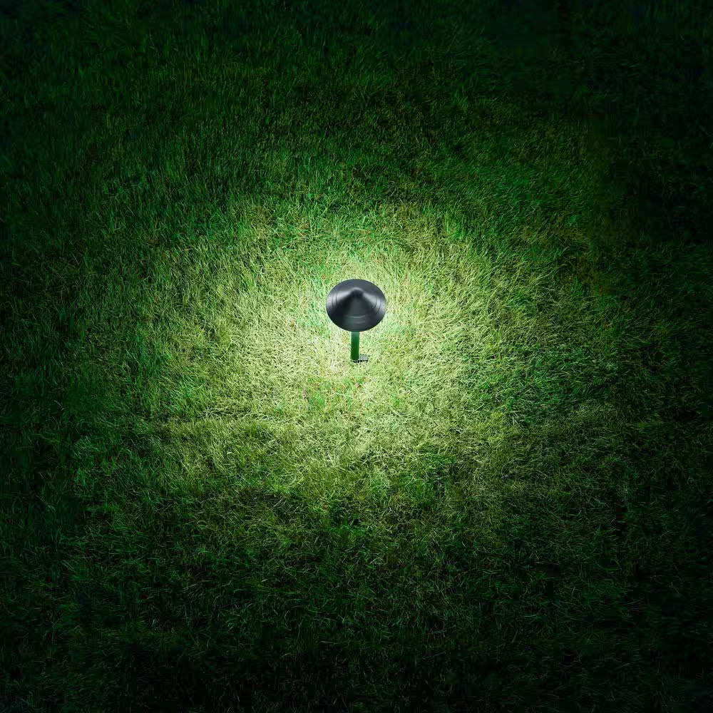 100 Lumen Low Voltage Black Plug-in Integrated LED Landscape Path Light Kit