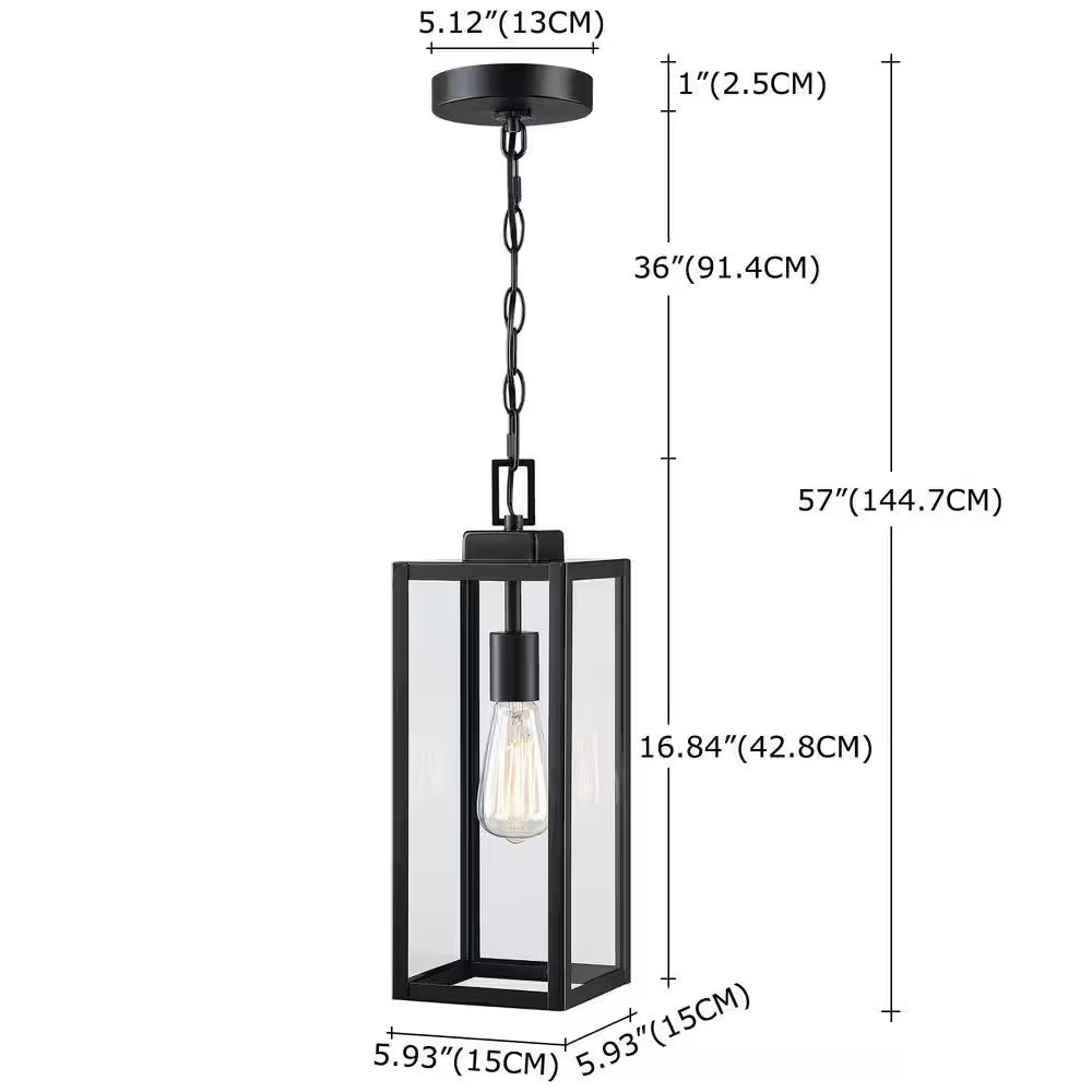 Alfa 1-Light Matte Black Outdoor Hanging Lantern Pendant Light with Clear Glass
