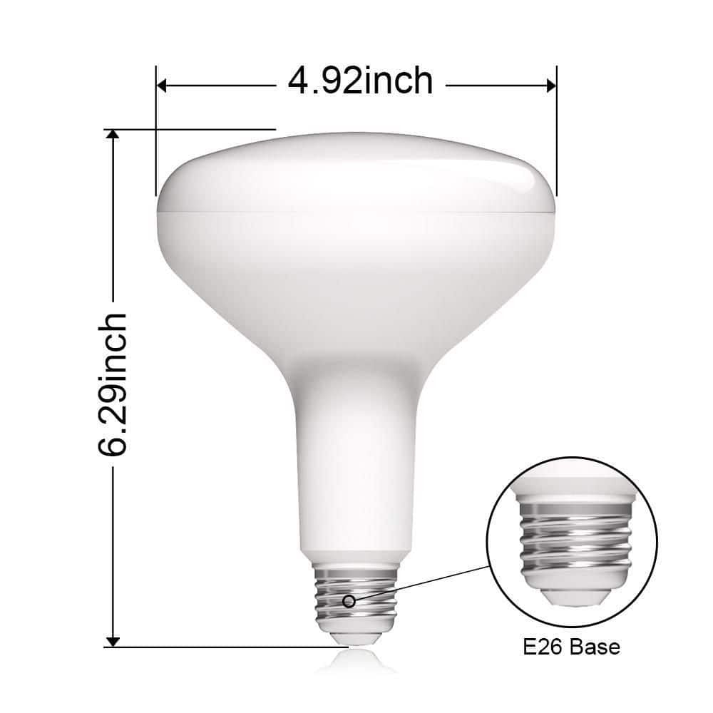 75-Watt Equivalent BR40 Dimmable LED Light Bulb Daylight 12-Pack