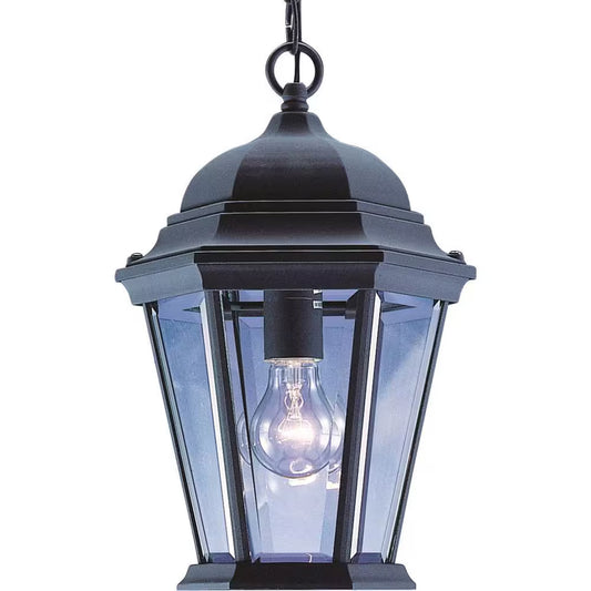 1-Light Indoor Outdoor Black Aluminum Lamp Lantern Coach Light Hanging Pendant