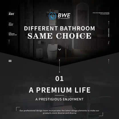 BWE Rainfull 10 in. 9-Spray Patterns Dual Wall Mount Dual Shower Heads CHROME