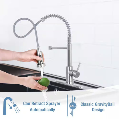 AKLFGN Kitchen Faucet Pull Out Sprayer Kitchen Faucet, Deckplate, Brushed Nickel