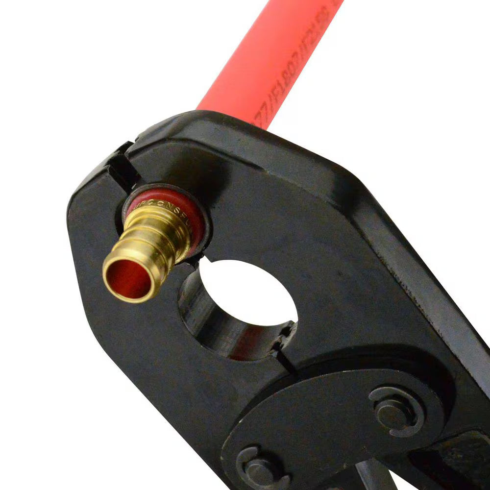 Apollo 1/2 in. Brass PEX-B Coupling Pro Pack (40-Pack) APXC1240JR