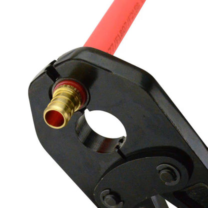 Apollo 1/2 in. Brass PEX-B Coupling Pro Pack (40-Pack) APXC1240JR