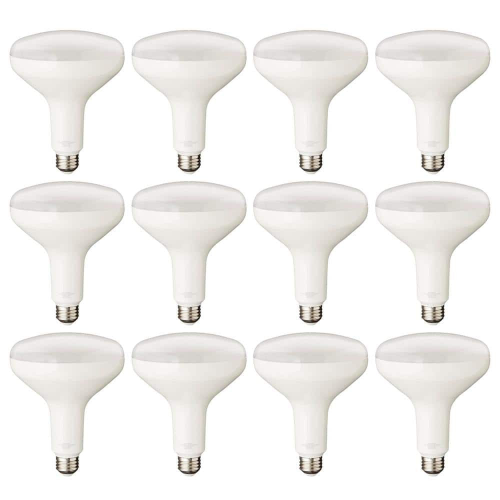 75-Watt Equivalent BR40 Dimmable LED Light Bulb Daylight 12-Pack