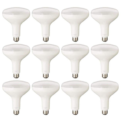75-Watt Equivalent BR40 Dimmable LED Light Bulb Daylight 12-Pack