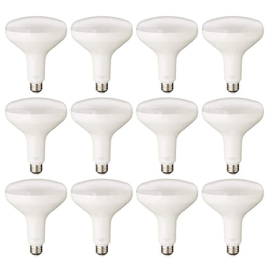 75-Watt Equivalent BR40 Dimmable LED Light Bulb Daylight 12-Pack