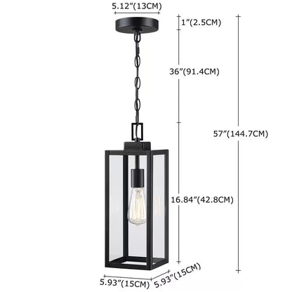 Alfa 1-Light Matte Black Outdoor Hanging Lantern Pendant Light with Clear Glass