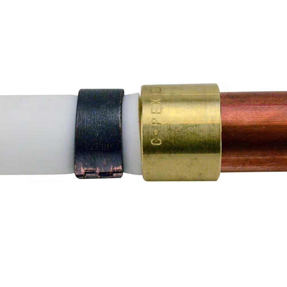 Apollo 1/2 in. Brass PEX-B Barb x 1/2 in. Female Copper Sweat Adapter 10-Pack