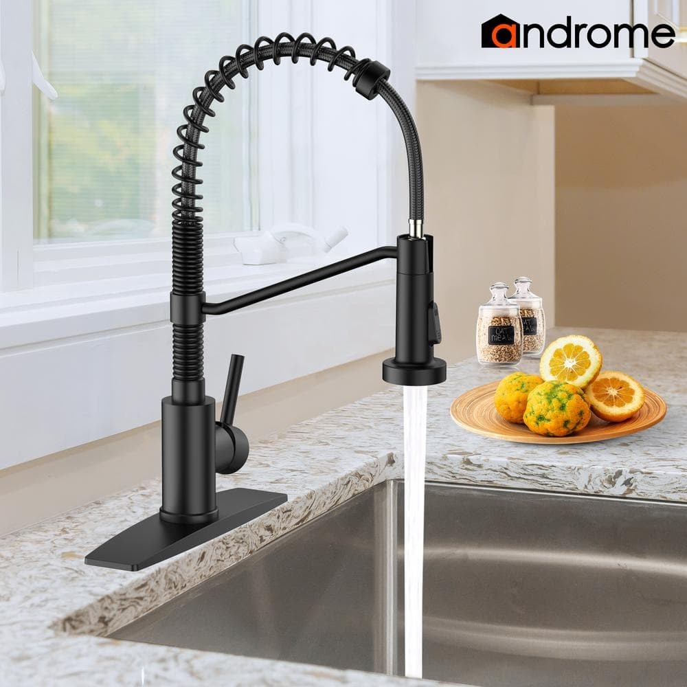 androme Single Handle Pull Down Sprayer Kitchen Faucet in Black
