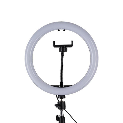 Alsy 67.5in LED Ring Light Tripod with Phone Holder 3CCT Adjustable Height