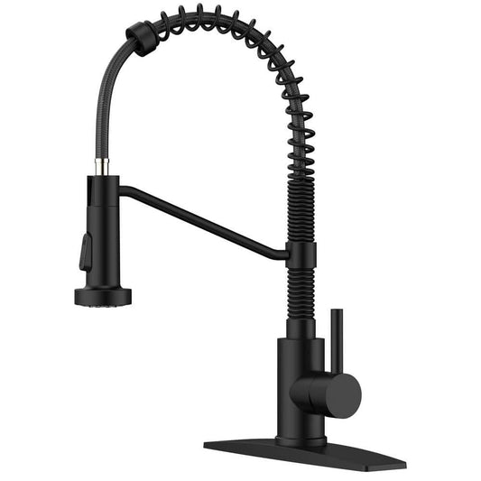 androme Single Handle Pull Down Sprayer Kitchen Faucet in Black