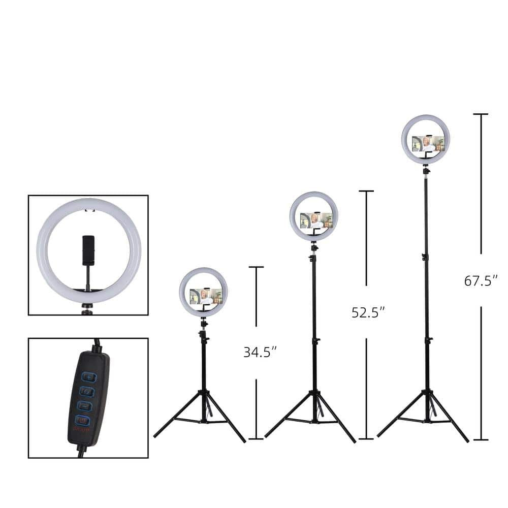Alsy 67.5in LED Ring Light Tripod with Phone Holder 3CCT Adjustable Height