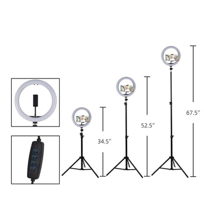 Alsy 67.5in LED Ring Light Tripod with Phone Holder 3CCT Adjustable Height